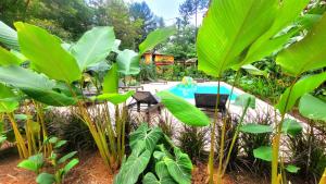 a pool in a garden with green plants at La Semilla Ecolodge in Cerro Azul