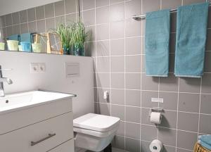 a bathroom with a white toilet and a sink at WangerRose - Familienwohnung für Groß und Klein und Hundefreunde in Wangerooge