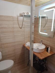 a bathroom with a sink and a toilet at Casa Iulia & Matei in Cârțișoara