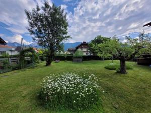 un patio verde con flores blancas en el césped en Haus Seebrise, en Faak am See