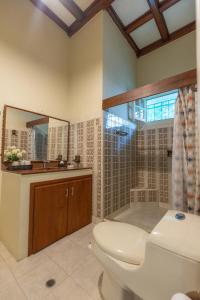 a bathroom with a toilet and a shower and a mirror at La casa azul in Cartagena de Indias