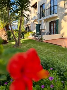 a red flower in front of a house at The Old Village Studio Vilamoura in Vilamoura