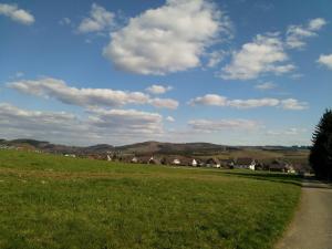 un campo de hierba con casas en la distancia en Ferienwohnung Wanderlust en Bad Berleburg