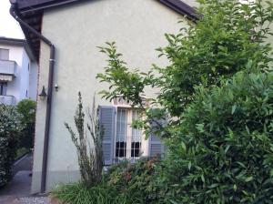 una casa blanca con ventana y algunos arbustos en Aria di Campagna, en Lodi