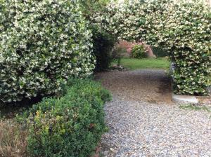 un jardín con un seto con flores blancas en Aria di Campagna, en Lodi