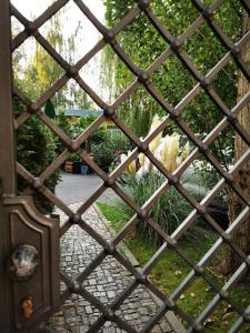 a view through a glass window of a garden at Ferienwohnung Silva in Dresden