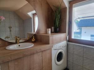 bagno con lavandino e lavatrice di Apartma Katarina a Bled