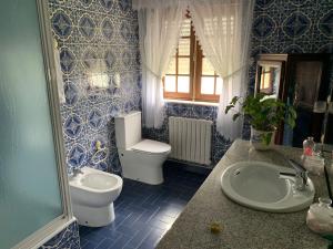 La salle de bains bleue et blanche est pourvue de toilettes et d'un lavabo. dans l'établissement Alojamiento San Miguel, à Monção