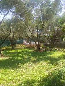 a group of trees in a field of grass at Avci Villa-Fethiye 3+1 in Garden with Private Pool, 10 minutes to the beach in Fethiye