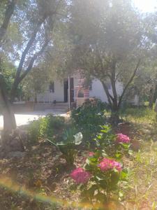 a garden with pink flowers in front of a building at Avci Villa-Fethiye 3+1 in Garden with Private Pool, 10 minutes to the beach in Fethiye