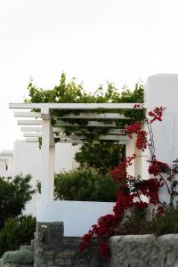 Um jardim em Rhenia Hotel