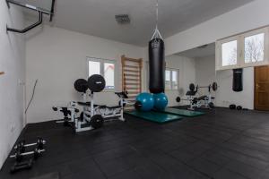 a gym with dumbbells and weights in a room at Almas in Neorić