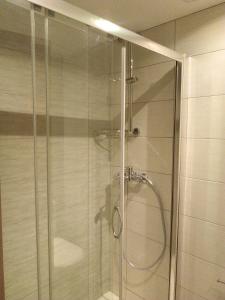 a shower with a glass door in a bathroom at Meltemi in Vourkari