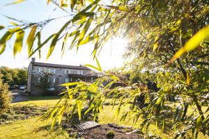 Zahrada ubytování Vigini