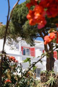 Um jardim em Rhenia Hotel
