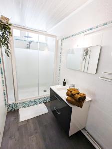 La salle de bains est pourvue d'un lavabo et d'une douche. dans l'établissement Appartement Le Fort 2 Vue Montagne, à Villefranche-de-Conflent