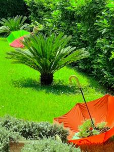 two orange umbrellas are sitting in a garden at Le Camerette di Edda in Cassino