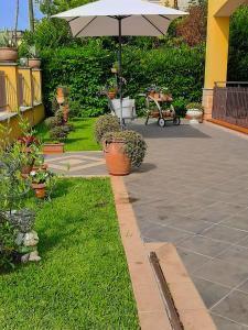 un patio con sombrilla y algunas plantas en Le Camerette di Edda, en Cassino