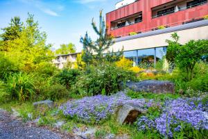 un jardin avec des fleurs violettes en face d'un bâtiment dans l'établissement Amenity Hotel & Resort Lipno, à Lipno nad Vltavou