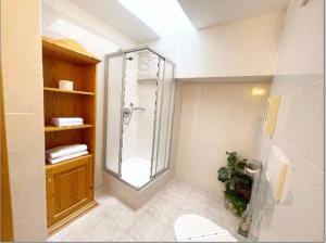 a bathroom with a shower and a toilet at Plose Parkhotel - Residence in Plancios