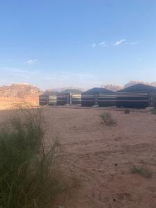 a group of train cars parked in a field at joy of life in Wadi Rum