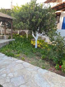 a garden with a tree and some flowers at Esperides in Batsi