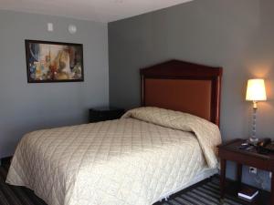 sypialnia z łóżkiem i stołem z lampką w obiekcie Safari Inn - Murfreesboro w mieście Murfreesboro