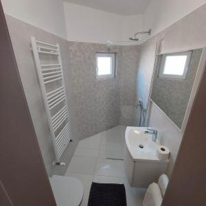 Baño pequeño con lavabo y aseo en 5 rooms apartman en Barbat na Rabu
