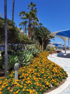 un giardino con palme e fiori gialli e arancioni di Apartamento Guadiana Sol a Estepona