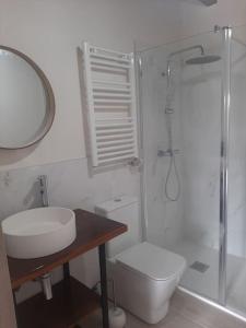 La salle de bains est pourvue de toilettes, d'un lavabo et d'une douche. dans l'établissement Casa Rural Triticum, 