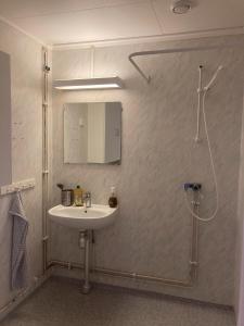 een badkamer met een wastafel en een douche bij Björklunden in Gullringen