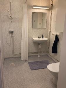 La salle de bains est pourvue d'un lavabo, d'une douche et de toilettes. dans l'établissement Björklunden, à Gullringen