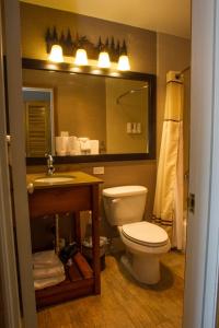 a bathroom with a toilet and a sink and a mirror at Jackson Lake Lodge in Moran