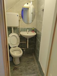 Ένα μπάνιο στο D&M Apartman Dojkinci