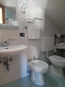 La salle de bains blanche est pourvue de toilettes et d'un lavabo. dans l'établissement Ciasa Alpina Relax Hotel, à Moena