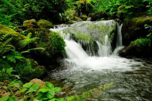 Paesaggio naturale nelle vicinanze dell'appartamento