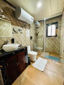 uma casa de banho com um chuveiro, um lavatório e um WC. em Silver Cloud Hotel em Paro