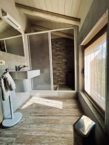 a bathroom with a shower and a sink and a window at Chaledo Milagro in Ruino