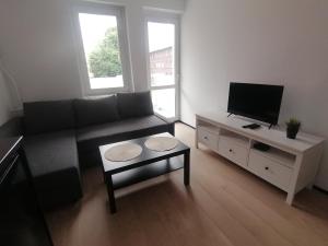 een woonkamer met een bank en een tv bij Alicja apartament in Siemianowice Śląskie