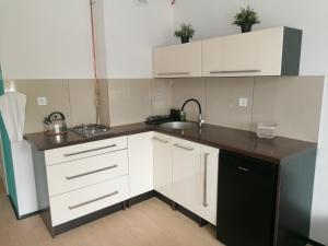 una pequeña cocina con armarios blancos y fregadero en Alicja apartament, en Siemianowice Śląskie
