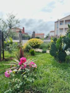 a garden with pink flowers in the grass at Apartments Vukalovic in Medulin