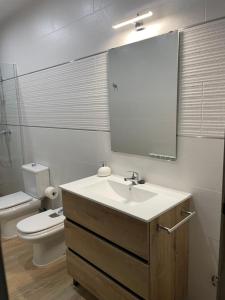a bathroom with a sink and a toilet and a mirror at Vivienda Turística Rural Casa Irene in Segura de la Sierra