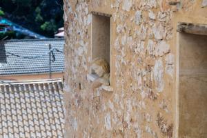 Balkon lub taras w obiekcie Domus Lapidis - Ibera