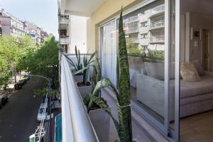 a balcony with a couch and some plants on it at Baires Belgrano by iPPA in Buenos Aires