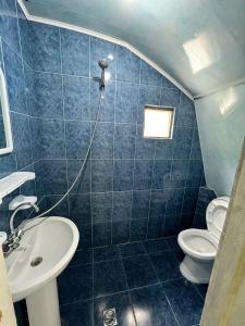 a blue tiled bathroom with a sink and a toilet at emily in Sarpi