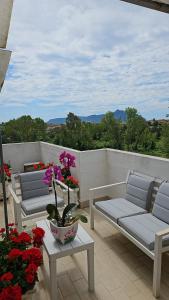 Gallery image of Hotel Il Gioiello in Sabaudia