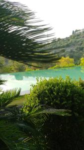 a view of a lake with a palm tree at Tenuta Agriturismo IL RISVEGLIO in Imperia