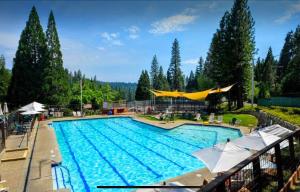 a large blue swimming pool with trees in the background at Bearvista in Arnold