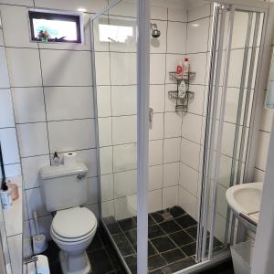 Un baño con ducha, inodoro y lavabo. en Die Huisies, en East London