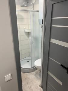 een kleine badkamer met een toilet en een douche bij TK apartamenti in Rēzekne